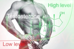 Low testosterone